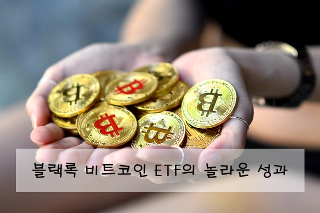 블랙록 비트코인 ETF의 놀라운 성과