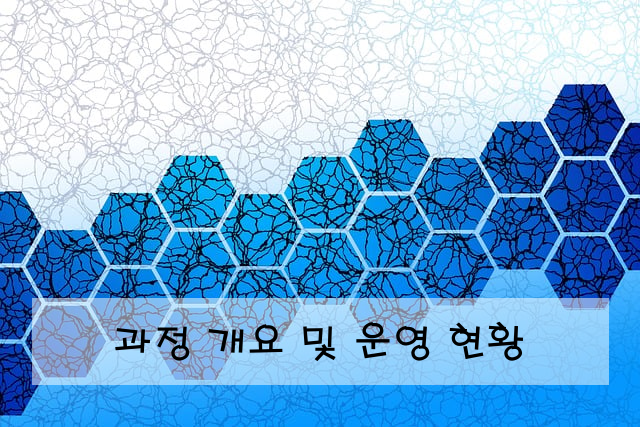 과정 개요 및 운영 현황