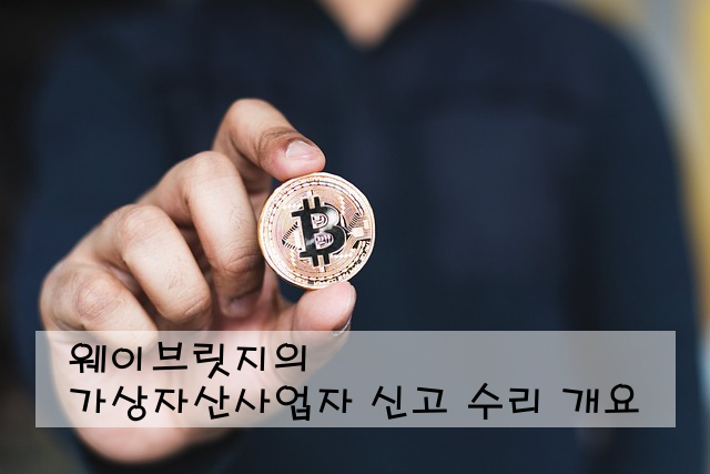 웨이브릿지의 가상자산사업자 신고 수리 개요
