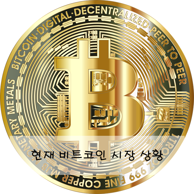 현재 비트코인 시장 상황