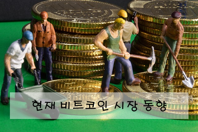 현재 비트코인 시장 동향