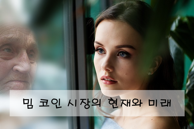 밈 코인 시장의 현재와 미래
