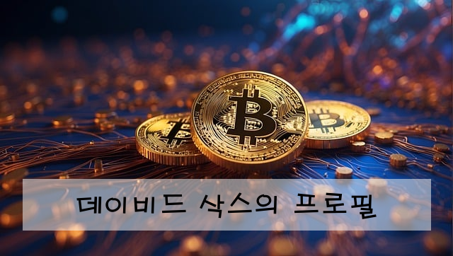 데이비드 삭스의 프로필