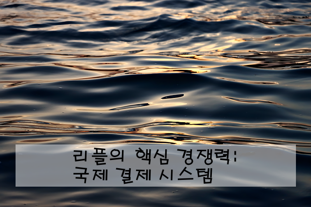 리플의 핵심 경쟁력: 국제 결제 시스템