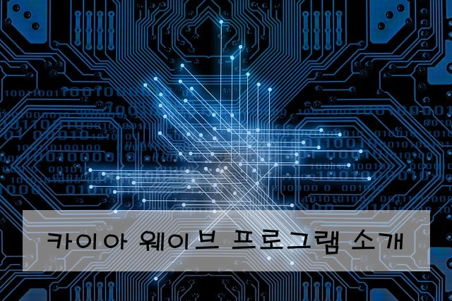 카이아 웨이브 프로그램 소개