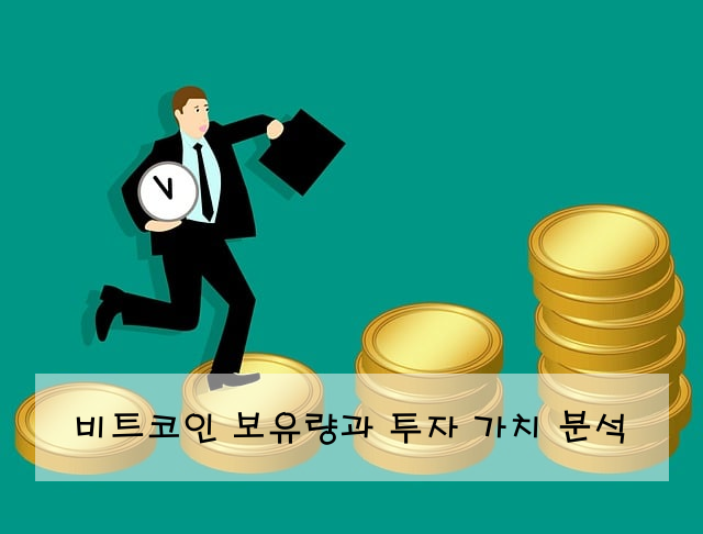 비트코인 보유량과 투자 가치 분석