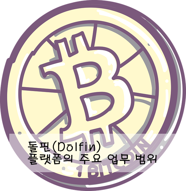돌핀(Dolfin) 플랫폼의 주요 업무 범위