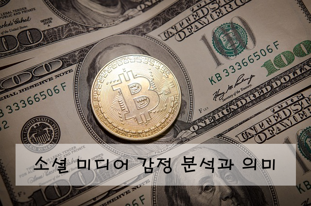 소셜 미디어 감정 분석과 의미