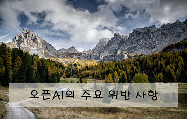 오픈AI의 주요 위반 사항