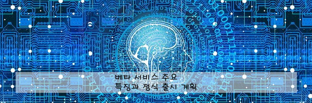 베타 서비스 주요 특징과 정식 출시 계획