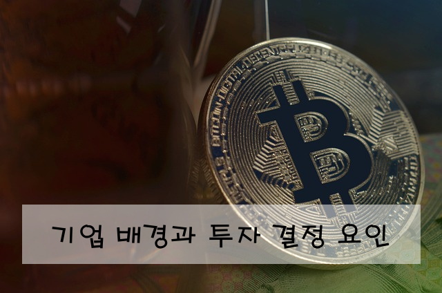 기업 배경과 투자 결정 요인