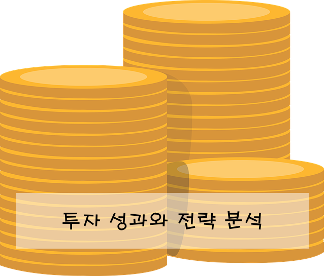 투자 성과와 전략 분석