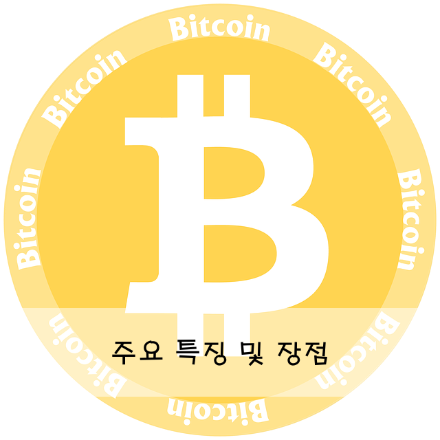 주요 특징 및 장점