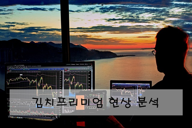 김치프리미엄 현상 분석