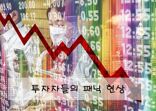 투자자들의 패닉 현상