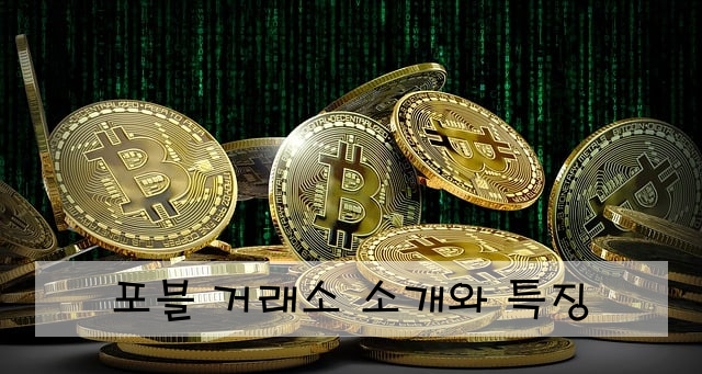 포블 거래소 소개와 특징