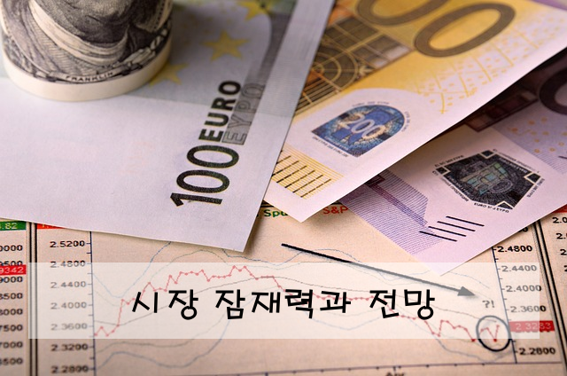 시장 잠재력과 전망