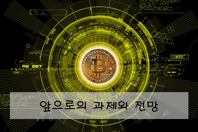 앞으로의 과제와 전망