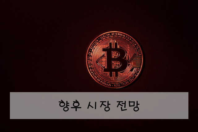 향후 시장 전망