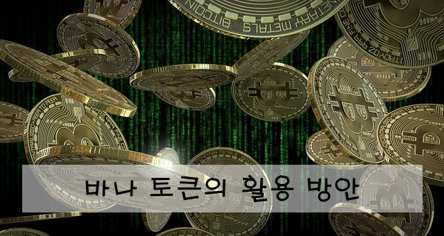 바나 토큰의 활용 방안