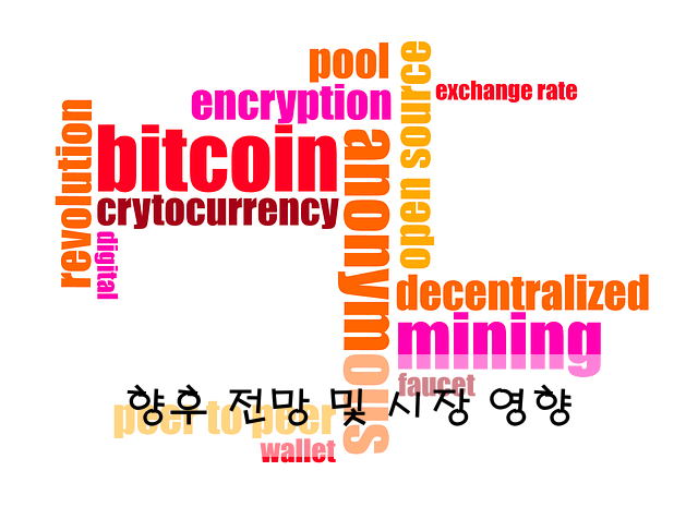 향후 전망 및 시장 영향