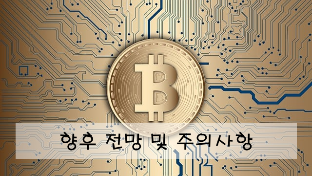 향후 전망 및 주의사항