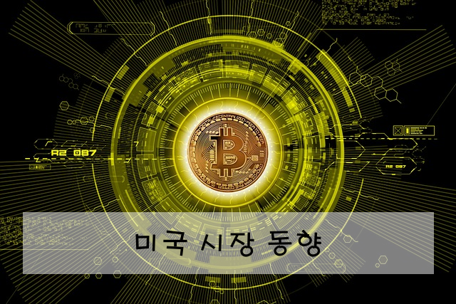미국 시장 동향