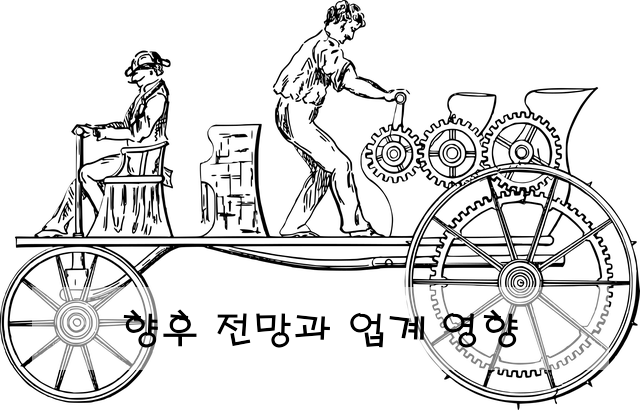 향후 전망과 업계 영향