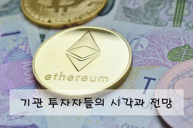 기관 투자자들의 시각과 전망