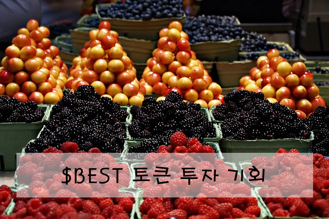 $BEST 토큰 투자 기회