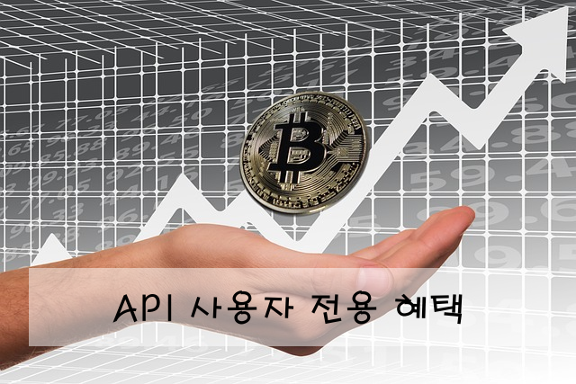 API 사용자 전용 혜택