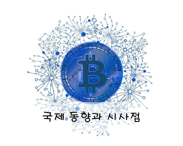 국제 동향과 시사점