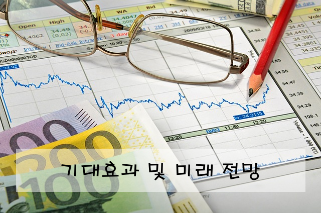 기대효과 및 미래 전망