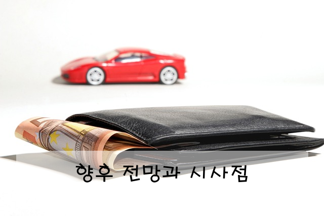 향후 전망과 시사점