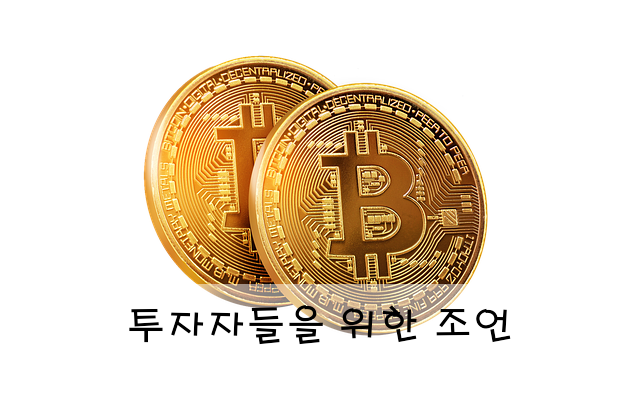 투자자들을 위한 조언