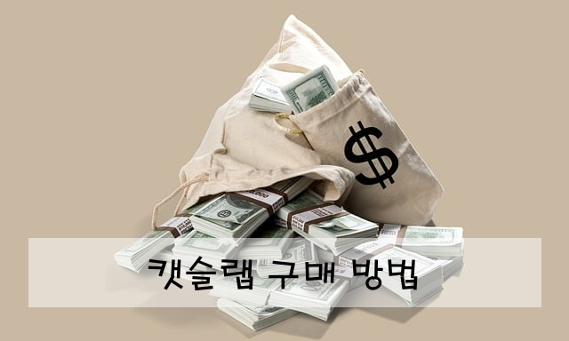 캣슬랩 구매 방법