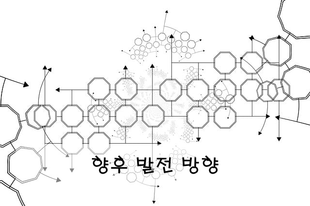 향후 발전 방향