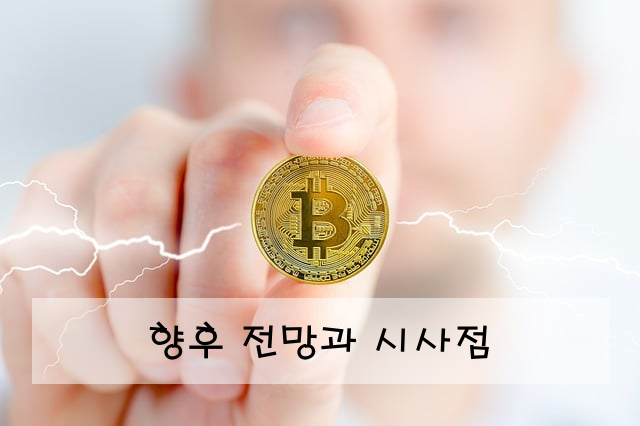 향후 전망과 시사점
