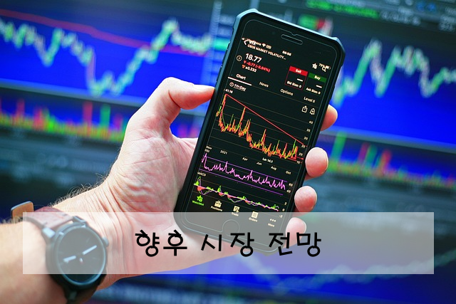 향후 시장 전망