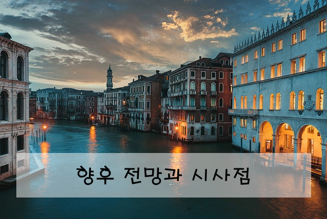 향후 전망과 시사점