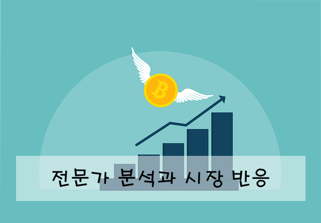 전문가 분석과 시장 반응