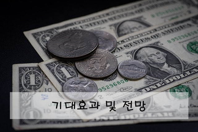 기대효과 및 전망