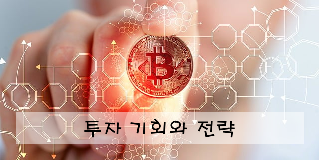 투자 기회와 전략