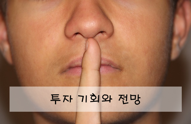 투자 기회와 전망