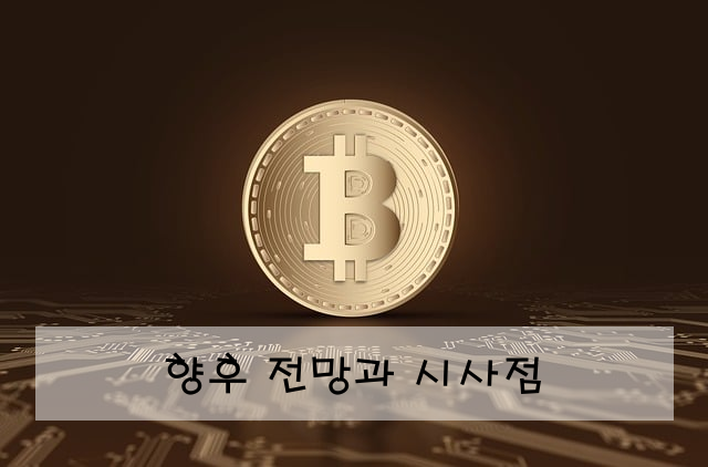 향후 전망과 시사점