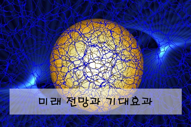 미래 전망과 기대효과