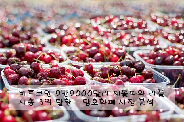 비트코인 9만9000달러 재돌파와 리플 시총 3위 탈환 - 암호화폐 시장 분석