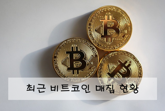 최근 비트코인 매집 현황