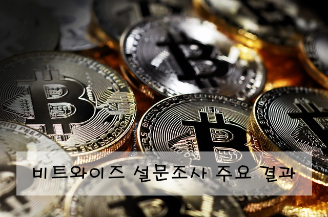 비트와이즈 설문조사 주요 결과