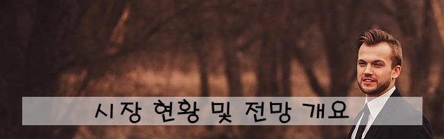 시장 현황 및 전망 개요